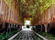 a walkway with vines from the ceiling