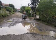 Blitar Selatan Parah: Jalan Rusak 3 KM di Desa Bendosari Jadi Keluhan Warga