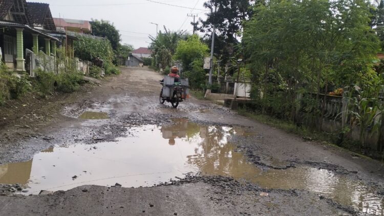 Blitar Selatan Parah: Jalan Rusak 3 KM di Desa Bendosari Jadi Keluhan Warga
