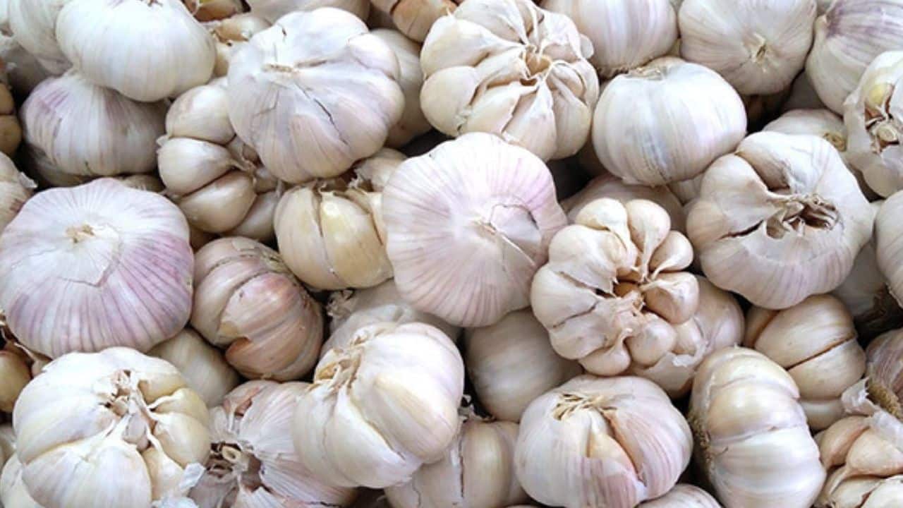 Harga Sayuran di Pasar Pon Blitar Turun, Tapi Cabe dan Bawang Melonjak