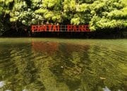 Pantai Pangi Blitar, Tempat Camping dan Mancing Ikan Acang-ancang dengan Ombak Tenang di Teluk Kecil
