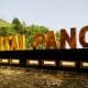 Rute dan Panduan Lengkap Menuju Pantai Pangi, Surga Camping di Blitar