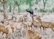Rekomendasi Tempat Wisata Keluarga di Blitar, Liburan Seru dan Edukatif Sepanjang Tahun 2025