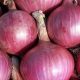 Update Harga Bahan Pokok Pasar Pon Kota Blitar Hari Ini 30 Juli 2025: Gula dan Cabai Turun, Bawang Merah Naik