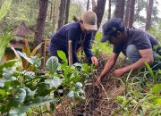 Tim Sipatokkong UKM KPI Unhas Dorong Pengembangan Agrowisata Kopi Berbasis Komunitas di Desa Mattabulu