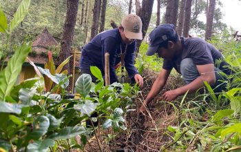 Tim Sipatokkong UKM KPI Unhas Dorong Pengembangan Agrowisata Kopi Berbasis Komunitas di Desa Mattabulu