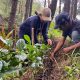 Tim Sipatokkong UKM KPI Unhas Dorong Pengembangan Agrowisata Kopi Berbasis Komunitas di Desa Mattabulu