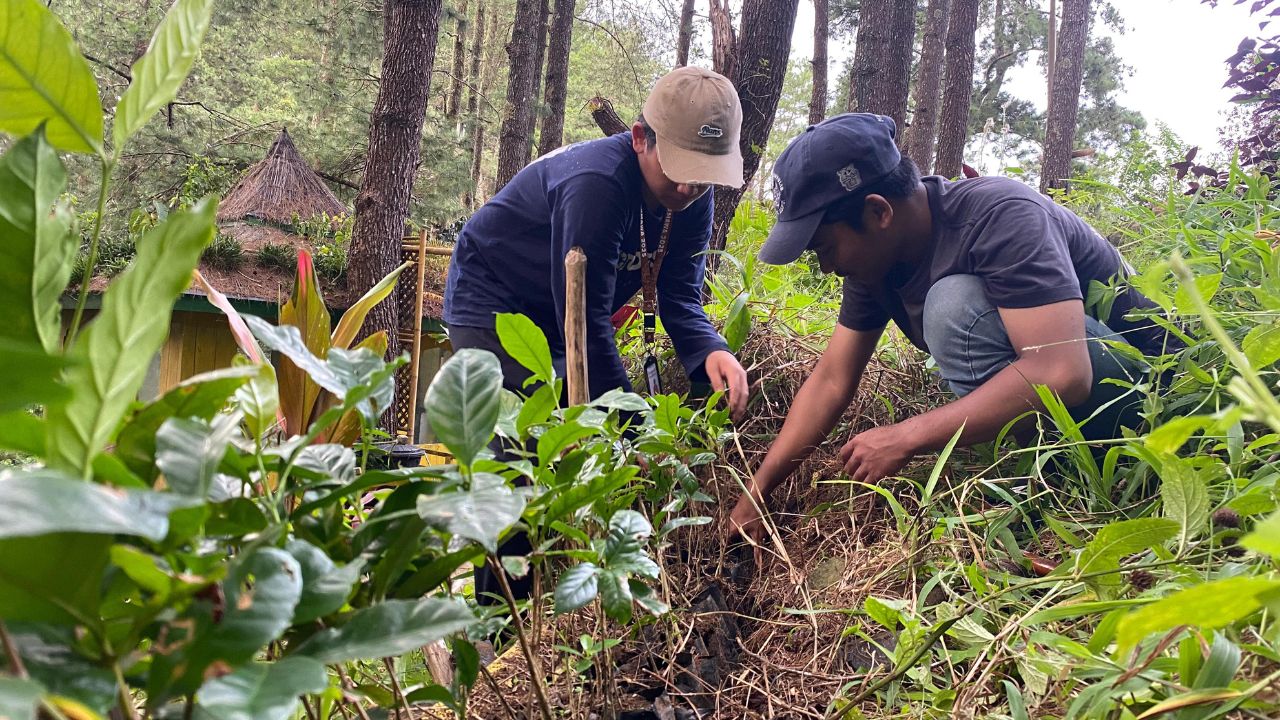 Tim Sipatokkong UKM KPI Unhas Dorong Pengembangan Agrowisata Kopi Berbasis Komunitas di Desa Mattabulu