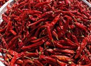 Update Harga Bahan Pokok di Kota Blitar, 4 Agustus 2025: Cabe Merah Naik, Gula Kristal Turun Update Harga Bahan Pokok di Kota Blitar, 4 Agustus 2025: Cabe Merah Naik, Gula Kristal Turun