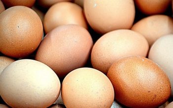 Harga Bahan Pokok di Kabupaten Blitar: Telur Ayam Ras Naik Tipis
