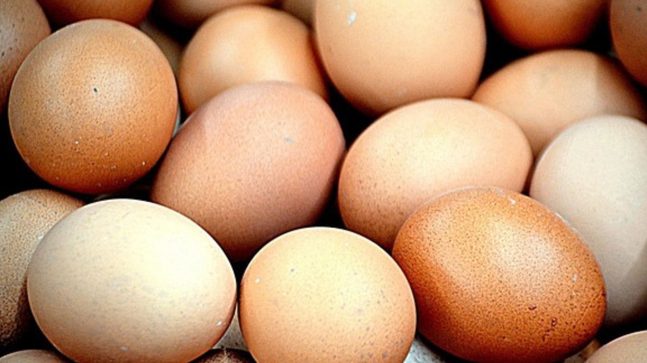 Harga Bahan Pokok di Kabupaten Blitar: Telur Ayam Ras Naik Tipis