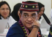 Wakil Ketua Komisi XIII DPR Sebut Pengibaran Bendera One Piece Sebagai Ekspresi Kebebasan Sipil