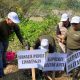 Jurnalis Blitar Tanam 50 Bibit di Atas Lokasi Tambang Pasir