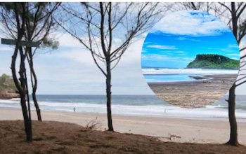 Mutiara Hitam Pantai Pasur Blitar: Pulau Karang Mini dan Muara Jadi Magnet Snorkeling Pemula